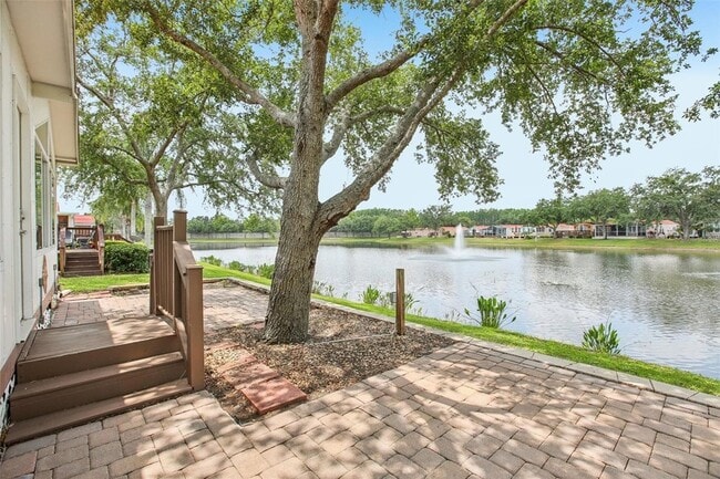 6621 La Mesa Rd in Land O Lakes, FL - Foto de edificio - Building Photo