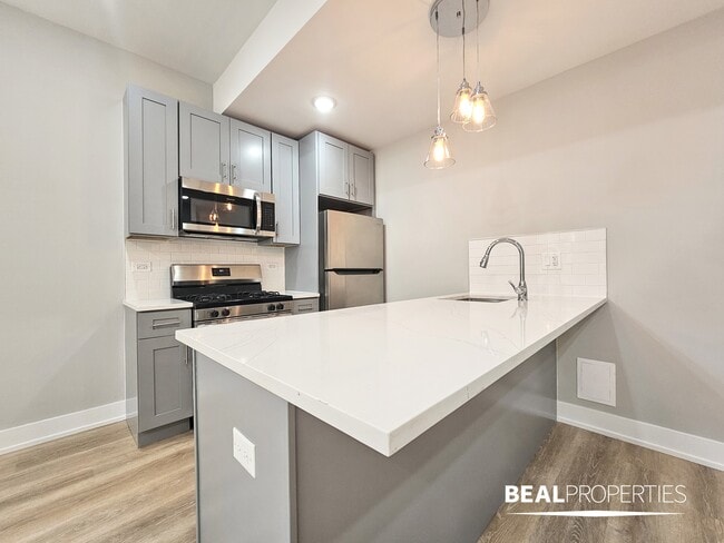 438 W Belden Ave in Chicago, IL - Building Photo - Building Photo
