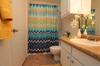Somerset in Houston, TX - Building Photo - Interior Photo