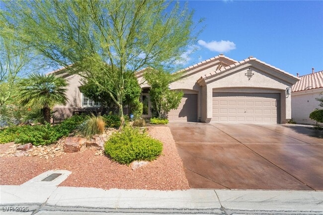 4014 Trapani Pl in Las Vegas, NV - Building Photo - Building Photo