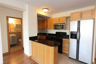 4180 N Marine Dr in Chicago, IL - Building Photo - Building Photo