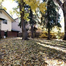 2721 Meadowlark Ave in Fort Collins, CO - Building Photo - Building Photo