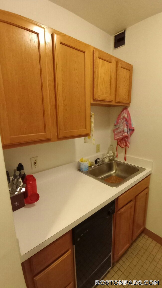 111 Norway St in Boston, MA - Building Photo - Building Photo