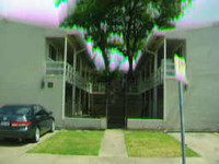 205 Avondale St in Houston, TX - Foto de edificio - Building Photo