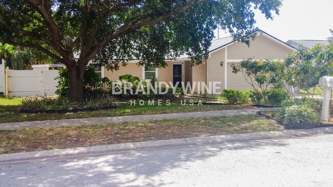 property at 239 Myrtle Ct