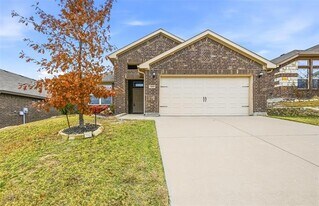10844 Live Oak Creek Dr in Fort Worth, TX - Building Photo