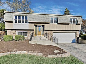 13601 Cherry Ln in Orland Park, IL - Building Photo