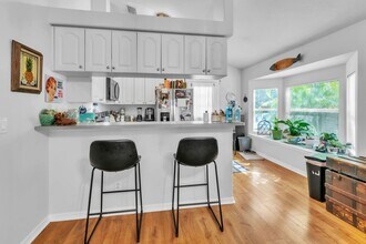 406 Beltrees St in Dunedin, FL - Building Photo - Building Photo