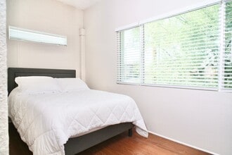 12 E University Blvd in Tucson, AZ - Building Photo - Building Photo