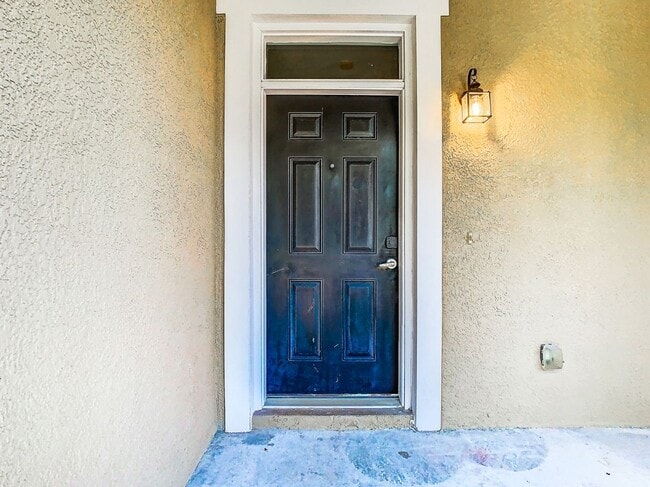 8009 Tipperary Ln in Tampa, FL - Building Photo - Building Photo
