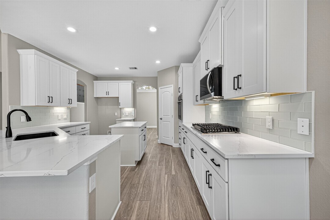 18914 Peralta Springs Ln in Cypress, TX - Building Photo