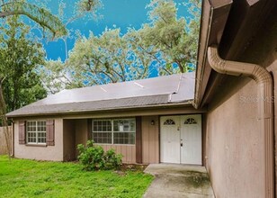 1243 Royal Oak Dr S in Dunedin, FL - Foto de edificio - Building Photo