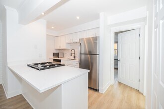 455 W Grant Pl in Chicago, IL - Building Photo - Building Photo