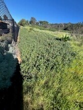 266 S Carmel Rd in San Marcos, CA - Building Photo - Building Photo