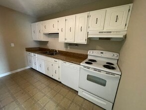 202 Fountain Dr in Lynchburg, VA - Building Photo - Building Photo