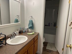 1202 Avenida Del Sol in Durango, CO - Building Photo - Building Photo