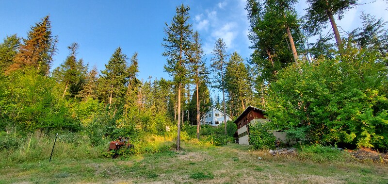 42062 Big Lodge Ln in Rollins, MT - Building Photo