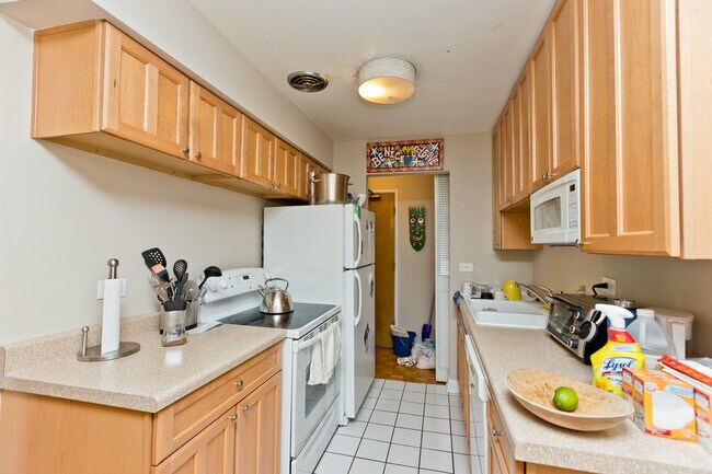 420 W Aldine Ave in Chicago, IL - Building Photo - Building Photo