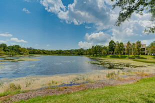 8970 White Sage Loop in Lakewood Ranch, FL - Building Photo - Building Photo