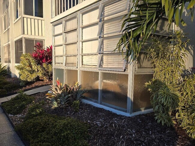 4908 38th Way S, Unit G103A in St. Petersburg, FL - Foto de edificio - Building Photo