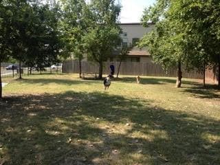 2811 Corbin Ln in Austin, TX - Building Photo - Building Photo