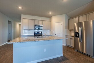 19508 Ann Richards Ave in Manor, TX - Building Photo - Building Photo