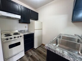 229 19th Ave SW in Rochester, MN - Building Photo