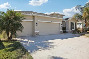 10747 Laxer Cay Loop in San Antonio, FL - Building Photo