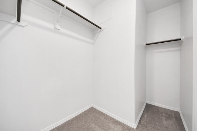 24719 Colony Meadow Trl