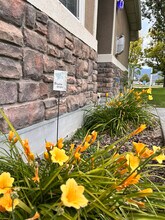 1110 Sutton Dr in North Salt Lake, UT - Building Photo - Building Photo
