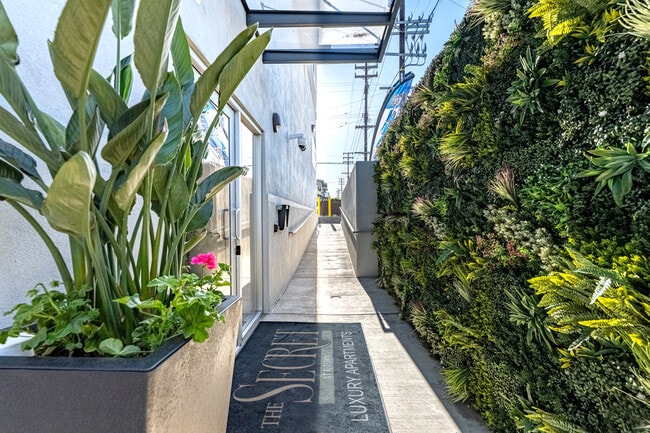The Secret in Los Angeles, CA - Building Photo - Building Photo