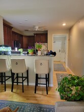 23 Augustus Ct in Reading, MA - Building Photo - Building Photo