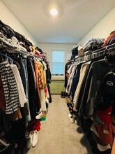 7335 Canterbury Bells Ct in Tampa, FL - Building Photo - Building Photo