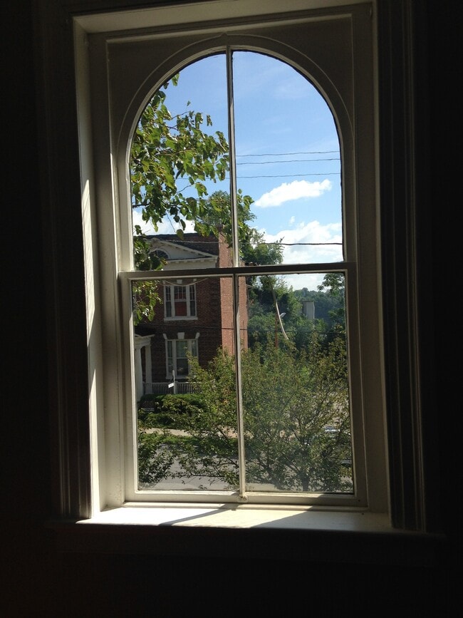 Watt House in Lynchburg, VA - Building Photo - Building Photo