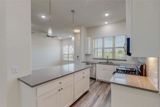 16154 Doe Lake Dr in Little Elm, TX - Building Photo - Building Photo