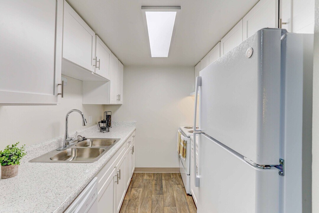 Summit View Village Apartments in Golden, CO - Building Photo