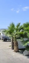 82079 Avenue 50 in Indio, CA - Building Photo