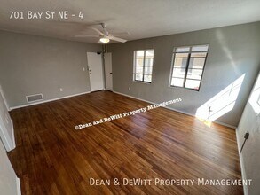 701 Bay St NE in St. Petersburg, FL - Building Photo - Building Photo