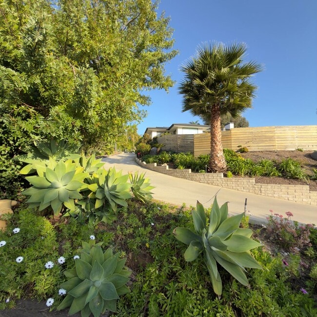1685 Burgundy Rd in Encinitas, CA - Foto de edificio - Building Photo
