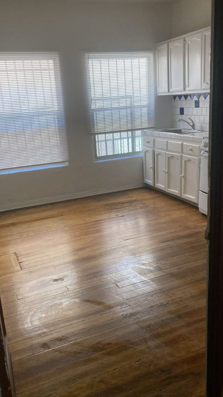 111 S Manhattan Pl in Los Angeles, CA - Building Photo - Building Photo