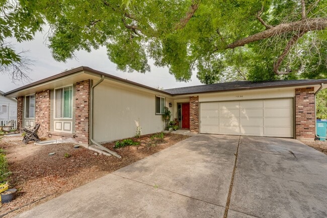 Beautiful 5 bed, 3 Bath House in Central Fort Collins!