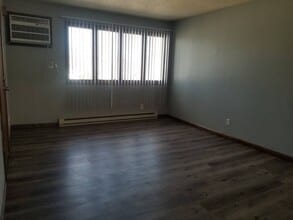 519 Morris St in Oglesby, IL - Building Photo - Building Photo