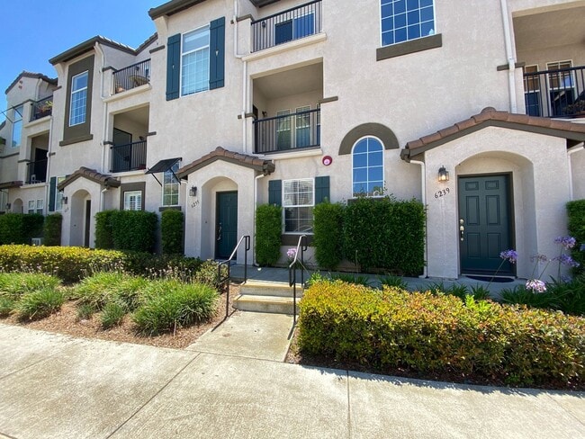 property at 6235 Via Trato
