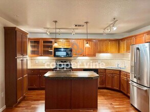 14167 Sun Blaze Loop in Broomfield, CO - Building Photo - Building Photo