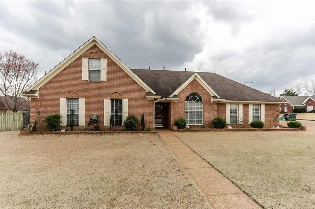 8699 Tropicana Dr N in Memphis, TN - Foto de edificio
