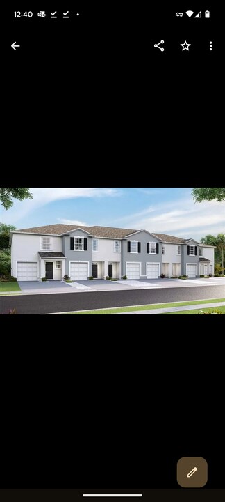 32952 Tulip Petal Ln in Wesley Chapel, FL - Building Photo