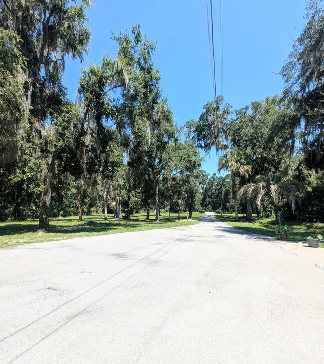 5650 NW 219th Street Rd in Micanopy, FL - Foto de edificio - Building Photo