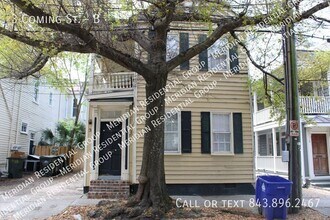 3 Coming St in Charleston, SC - Building Photo - Building Photo