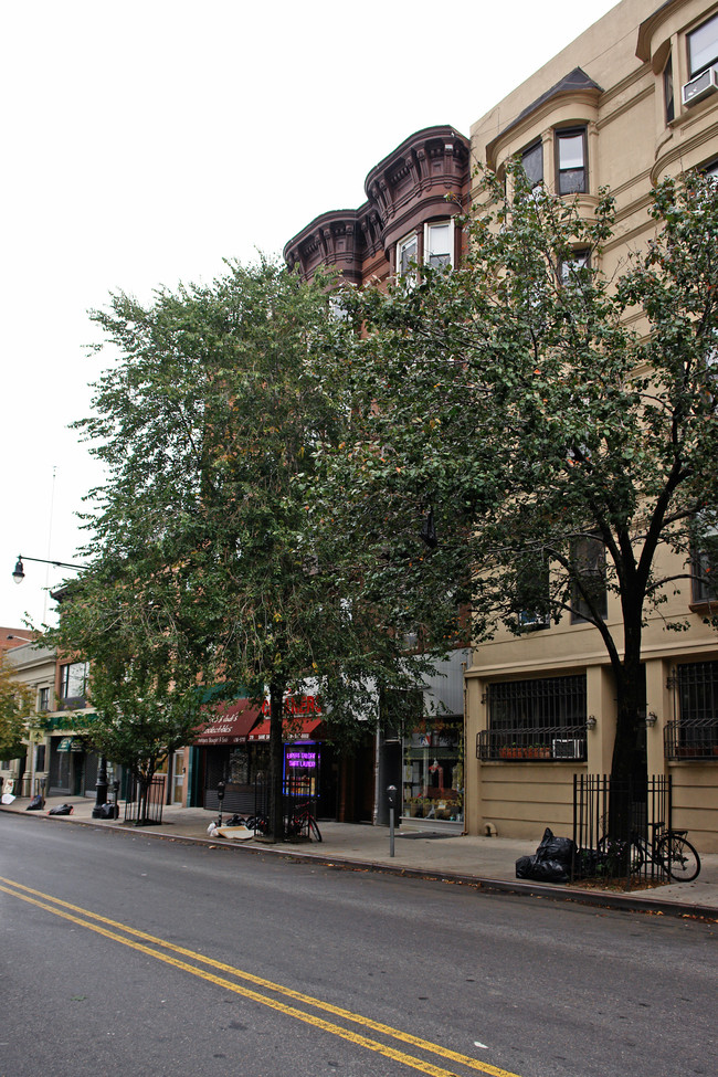 219 5th Ave in Brooklyn, NY - Foto de edificio - Building Photo