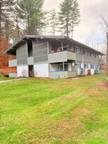 814 Ski Tow Rd in Brownsville, VT - Building Photo